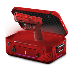 PZK ! CHEAP CASE