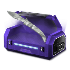 MoonGoonCase