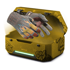 W NEW GLOVES