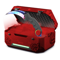 A case from a lewas