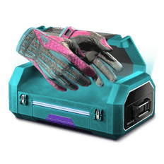 WAN0 New Loadout 10%