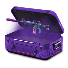 BOSTON HUGHES CHILLCASE