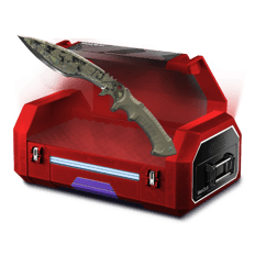1 $ CASE
