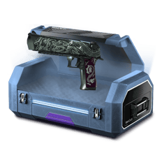 15% Play Skins