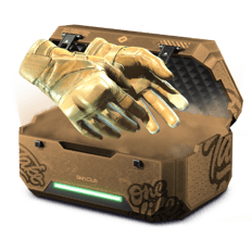 GLOVES