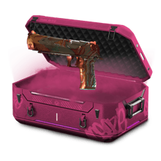100% pistol