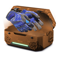 15% Gloves