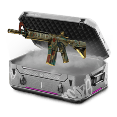 Baby Billy's M4A4 Case