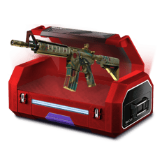 15% Covert Case