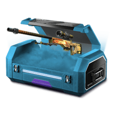 100% awp