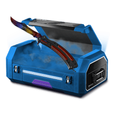 butterfly case