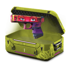 1 dollar case