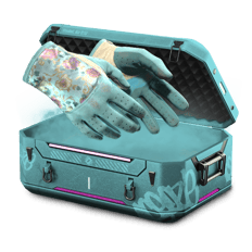 Farm gloves and karambit
