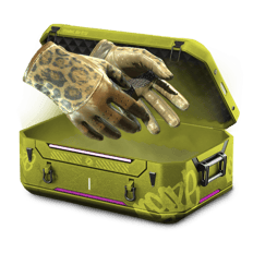 100% GLOVES