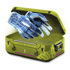10% Knife and Gloves