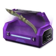 UR VIP CASE !