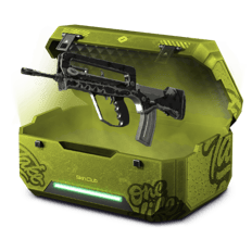 Famas case