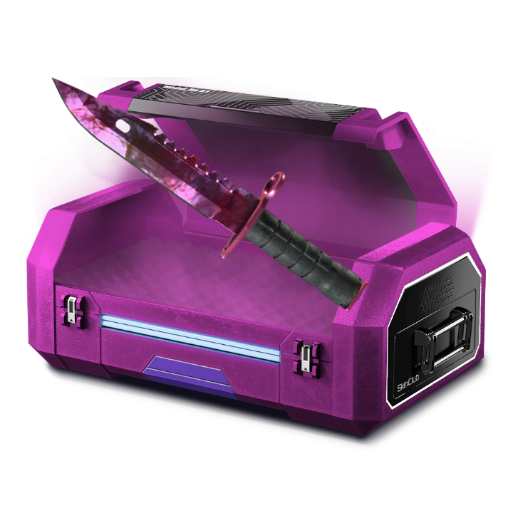 Pink Shuen Cases