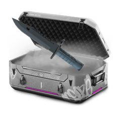 111 case