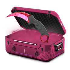 11% Case ZineXy