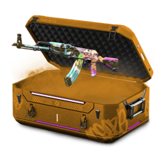 DORI DEAD CASE