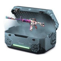 M4A1 vs M4A4