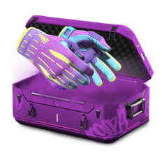 67 case