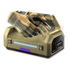 💢10% CRAZY GLOVES CASE💢