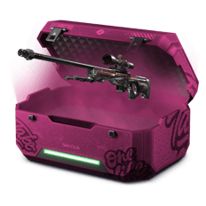 chrome cannon