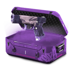 5% mystery case