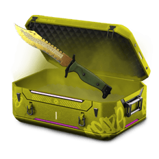 100% KNIFE