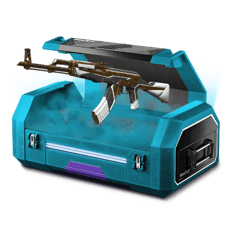 20% win case