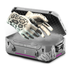 12x Gloves