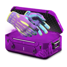 0.1% Gloves HH