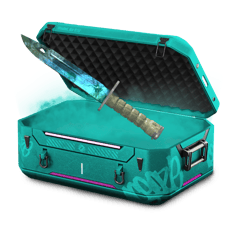15% bayonet GDP3 cheap