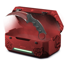 10% HULA CASE