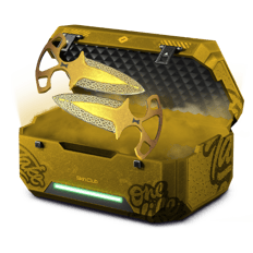 GOLD CASE