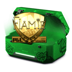 Meta x Rega 10% Flami3