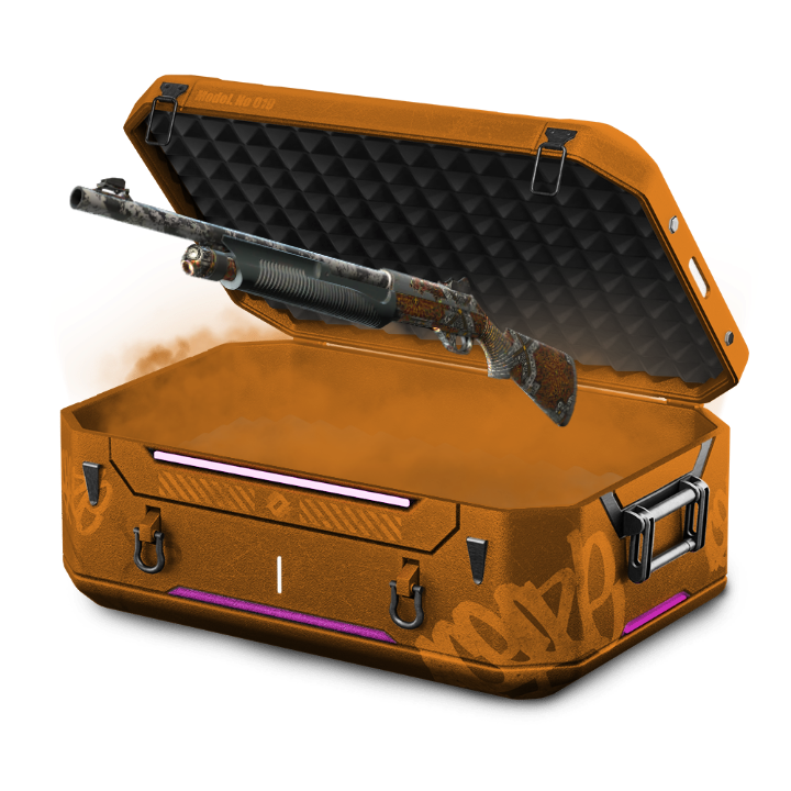 CARROTWORLDCASE