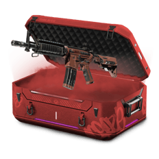 my own gun