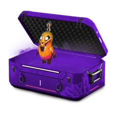 amazing case