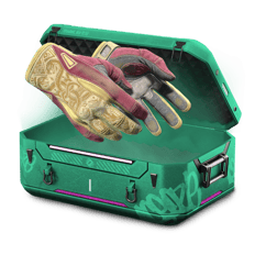 gloves