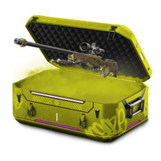 🟡Skins Cheap Case Yellow
