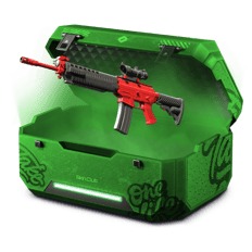 20/80 Green/Red Apple