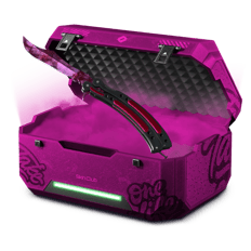 BB PINK