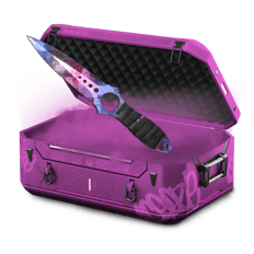 Gun Van Whole
