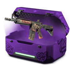 aura case