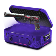 30% Pistol 2.0'