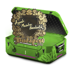 Mini Case 70% BTNN 3