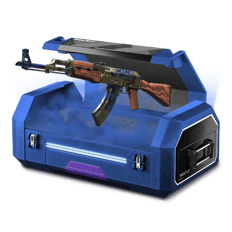 CS:GO Ben Case